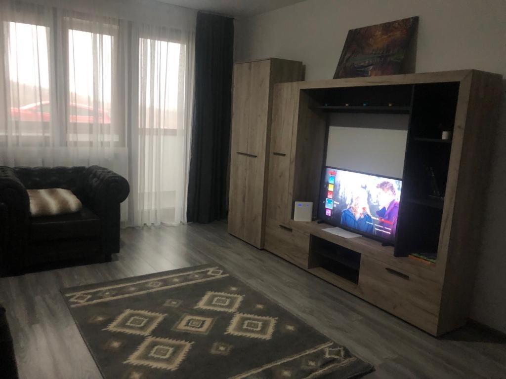 Ilinca-Zgatia Apartment Piatra Neamt Luaran gambar