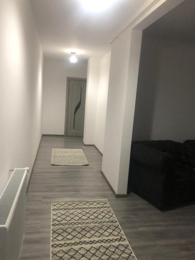 Ilinca-Zgatia Apartment Piatra Neamt Luaran gambar